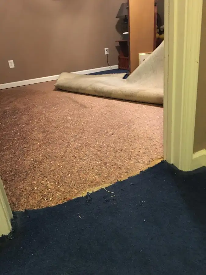 Carpet pad removal revealing water damage during Water Mitigation Services in Alton